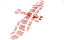 Load image into Gallery viewer, PlanePrint Eagle 3D Printed Kit