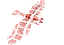 Load image into Gallery viewer, PlanePrint Eagle 3D Printed Kit