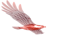 Load image into Gallery viewer, PlanePrint Eagle 3D Printed Kit