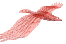 Load image into Gallery viewer, PlanePrint Eagle 3D Printed Kit